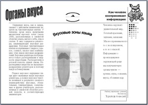 буклет на сайт1