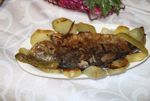 IMG_7548