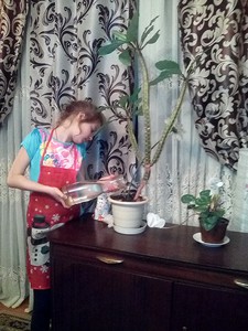 IMG_20160215_192926
