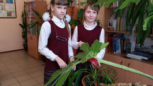 Рисунок1