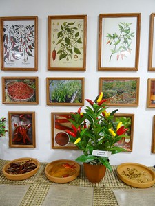 DSC02827