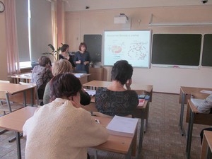 IMG_8384