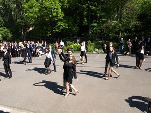 P5249904