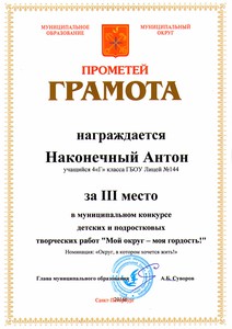 0Наконечный Антон 4Г 3 место