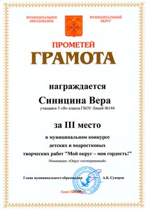 0Синицина Вера 3В 3 место
