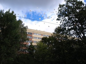 P9081104