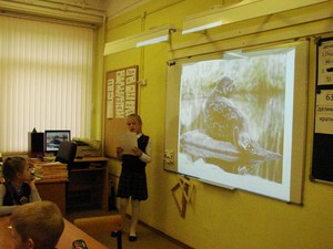 проект7